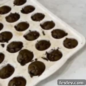 Hidden Veggie Chocolate Muffins (Mini Size)