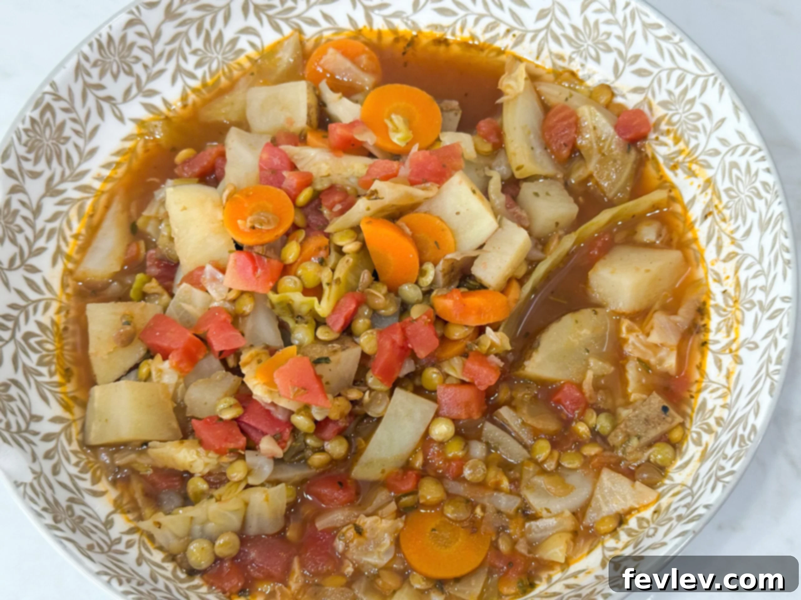 A comforting bowl of cabbage and lentil stew, rich with vegetables and hearty lentils. An ideal budget meal for families.