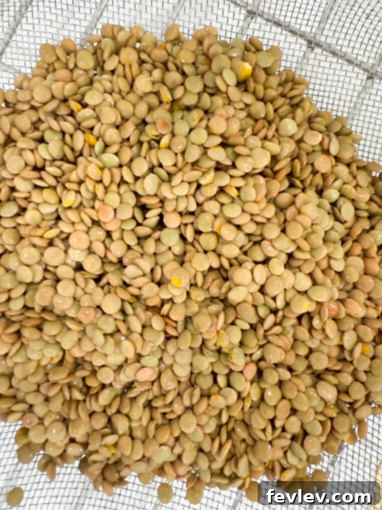 washed lentils in a colander