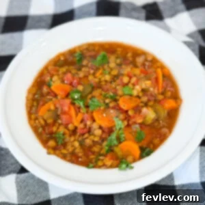 Bowl of Slow Cooker Lentil Soup Stew with carrots, celery, and lentils
