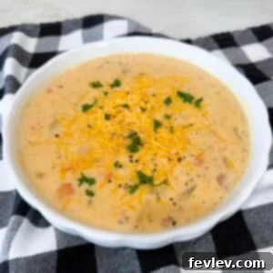 Finished Slow Cooker Ham and Potato Soup topped with cheddar and parsley, ready to serve in a white bowl