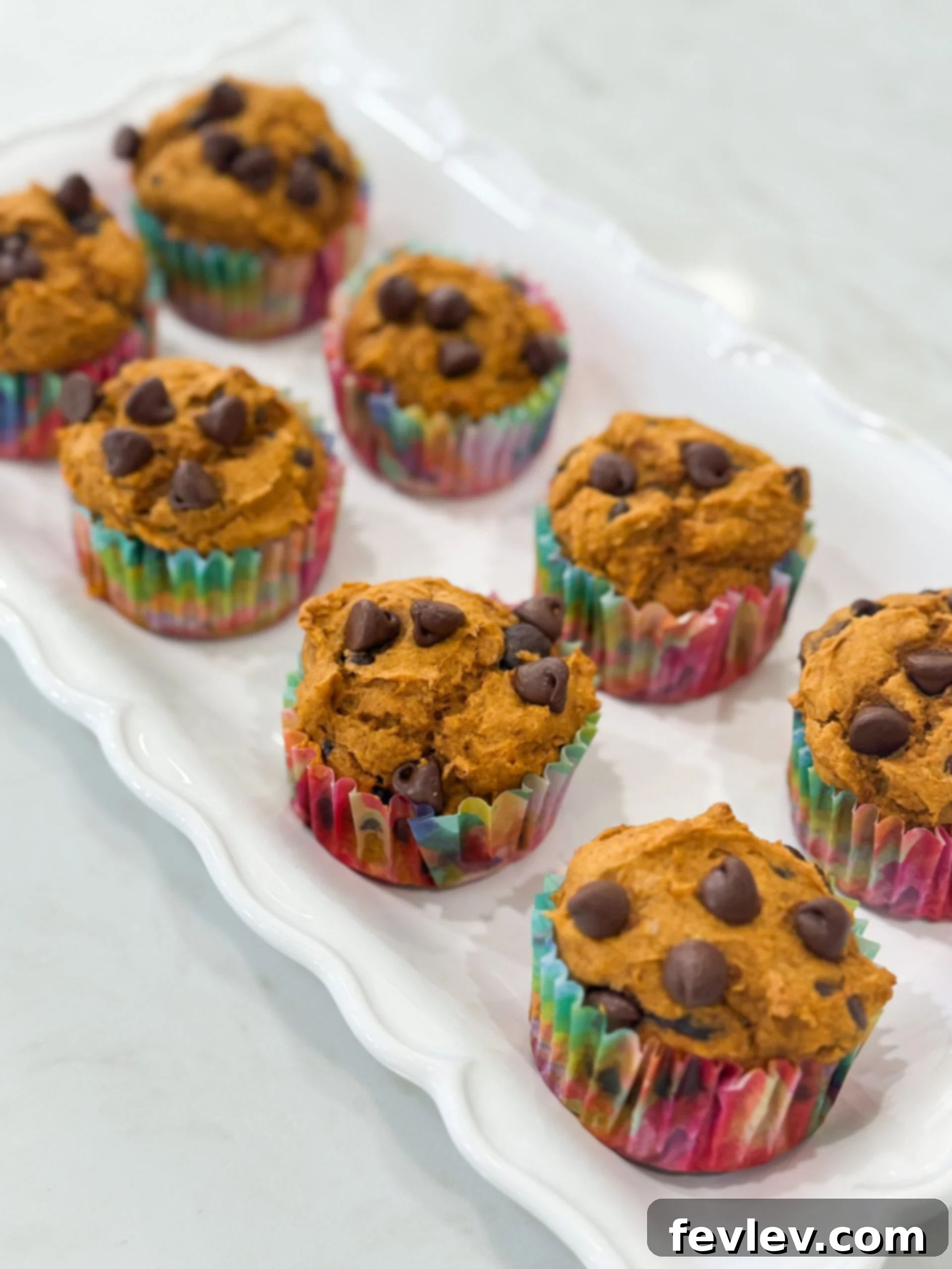 Freshly baked pumpkin chocolate chip muffins cooling on a wire rack, showcasing their fluffy texture and melted chocolate chips.