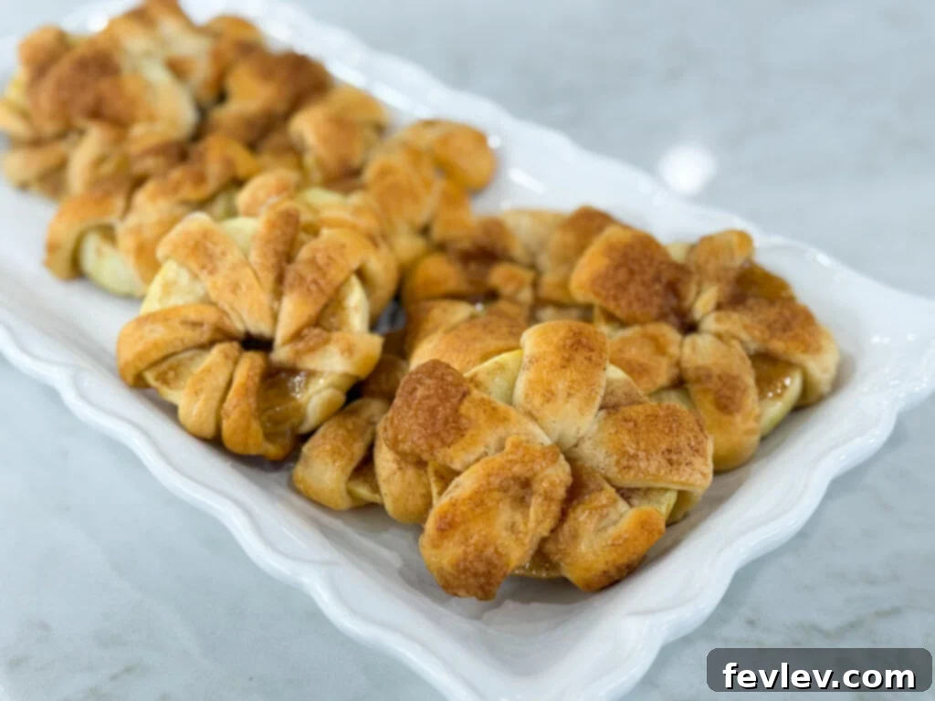 Golden baked apple crescent donuts dusted with powdered sugar