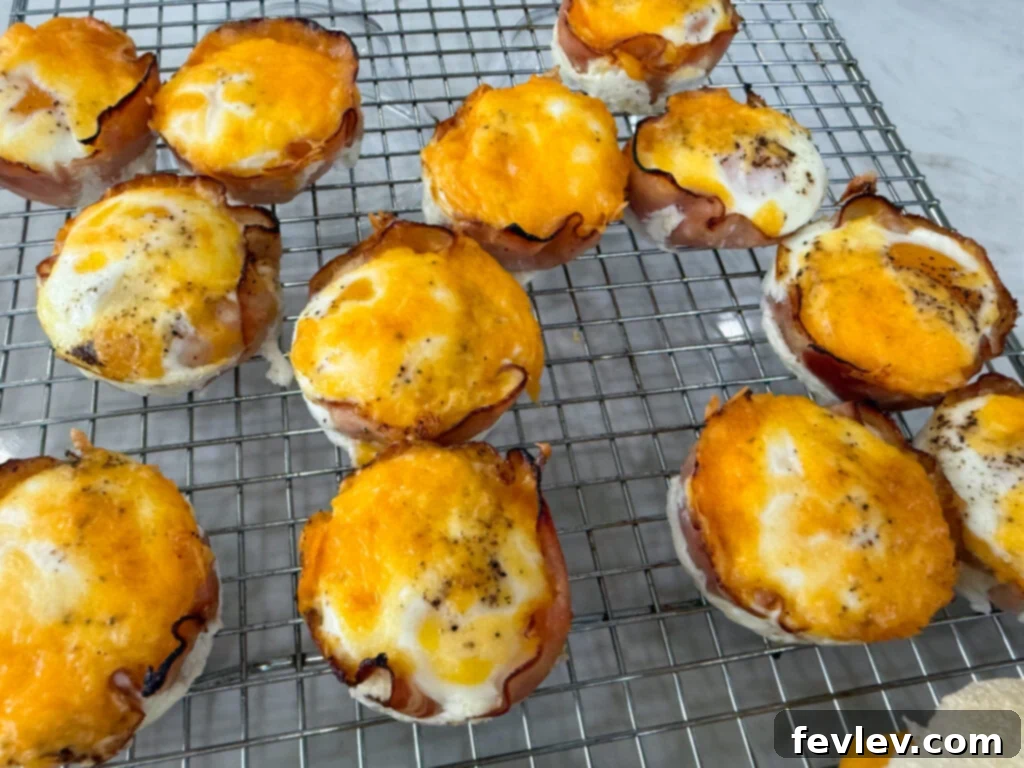 Ham and Egg Bites 2 Breakfast Ham and Egg bites