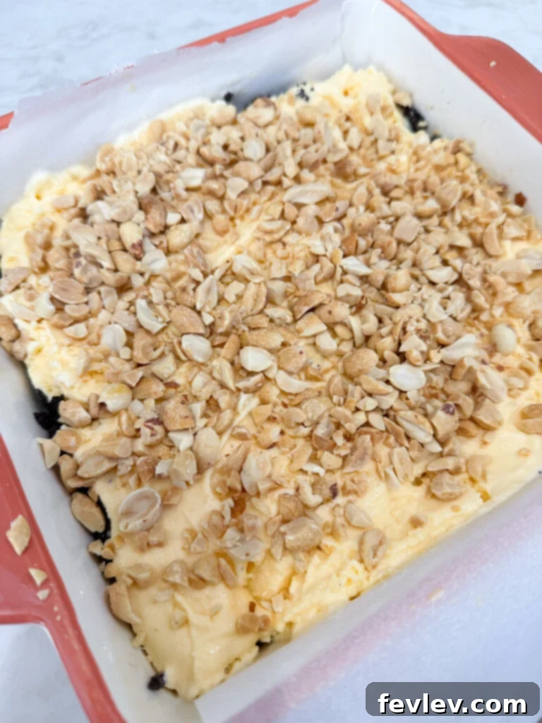 Peanut layer for the ice cream cake