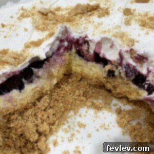 Delicious Lemon Blueberry No-Bake Dessert with fresh blueberries and lemon zest garnish