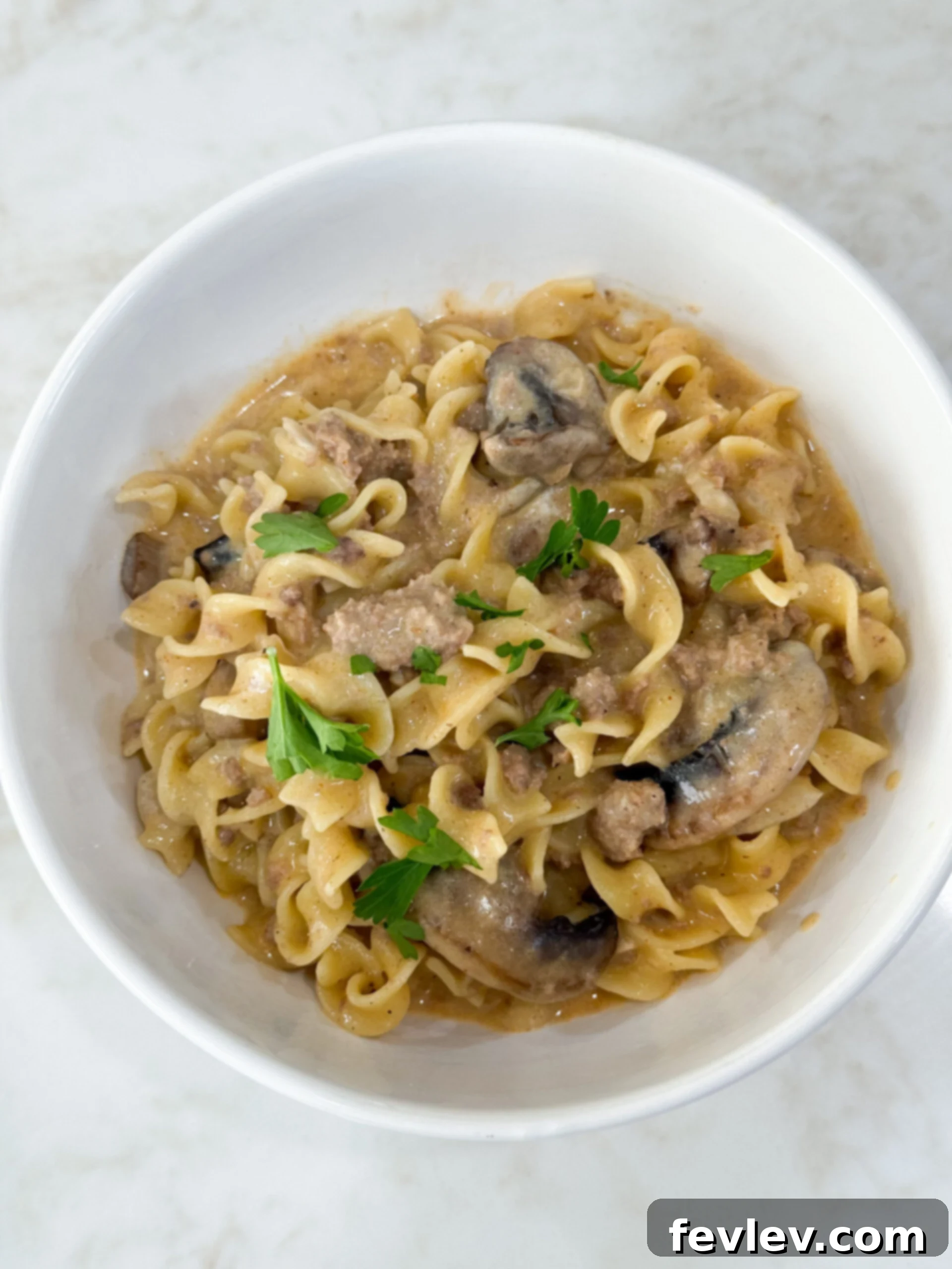 Beef Stroganoff 2 Cooked egg noodles and rich ground beef stroganoff sauce, ready to serve in a white bowl, embodying classic comfort food.