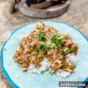 Delicious Slow Cooker Honey Garlic Chicken served over rice, garnished with green onions