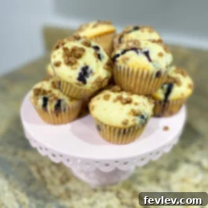 Delicious Blueberry Muffins with Streusel Topping