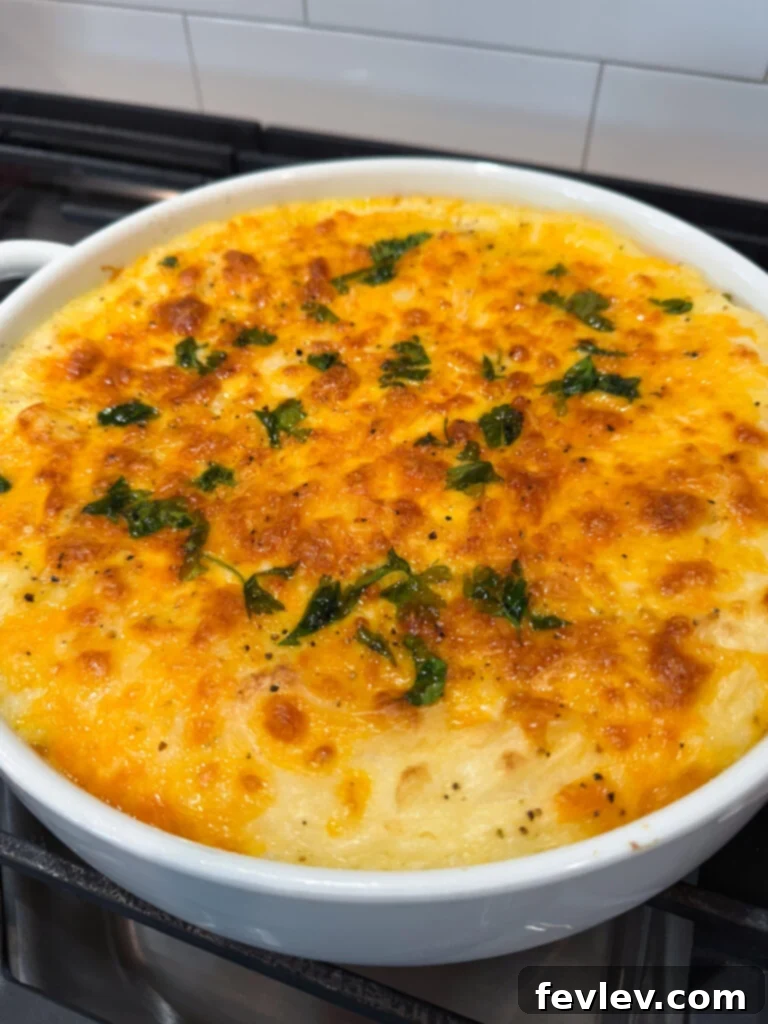Double Delicious Potato Bake 2 Golden brown cheese mashed potatoes, a comforting side dish