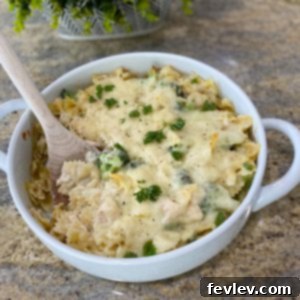 Delicious Chicken Alfredo Bake, a creamy pasta and chicken casserole baked with a golden cheese topping, ready to be served.