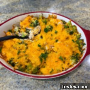 A golden-brown chicken broccoli bake casserole, rich with melted cheese and tender chicken, ready to be served from a baking dish.