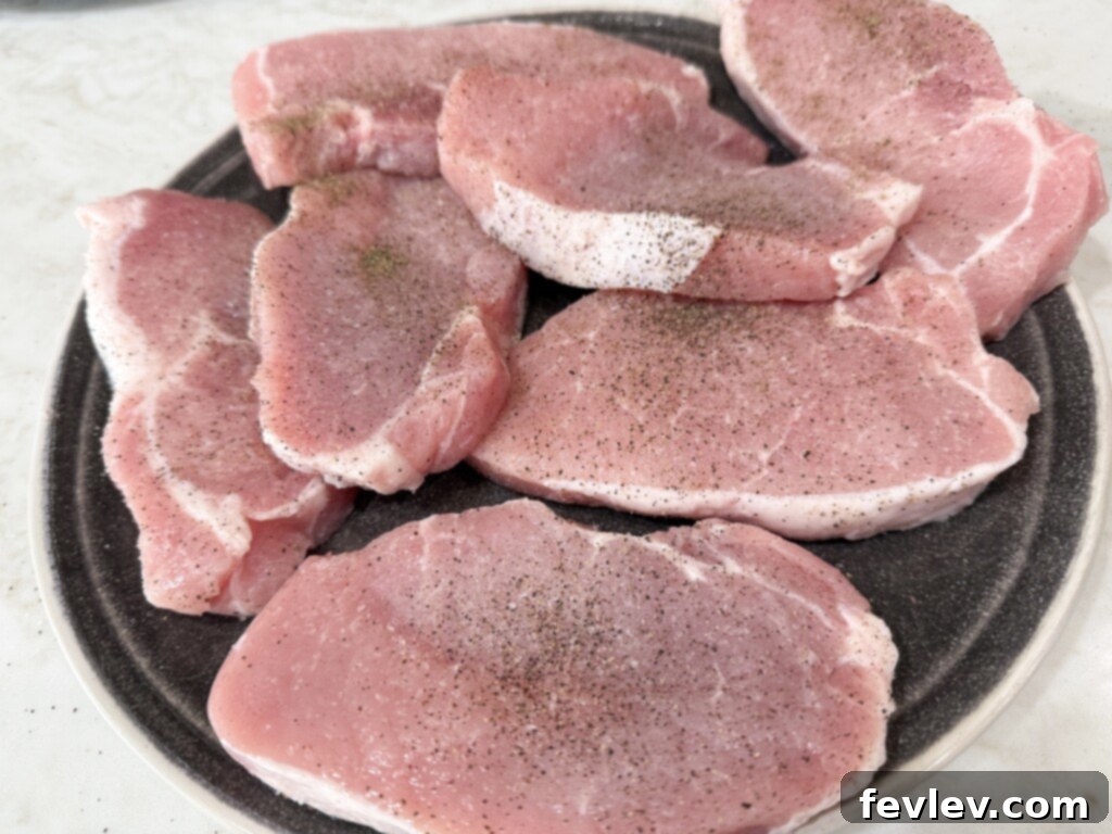 Seasoned pork chops ready for the slow cooker