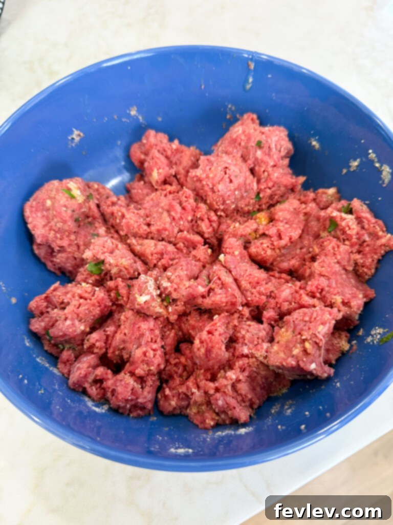 Slow cooker meatball sub meat mixture