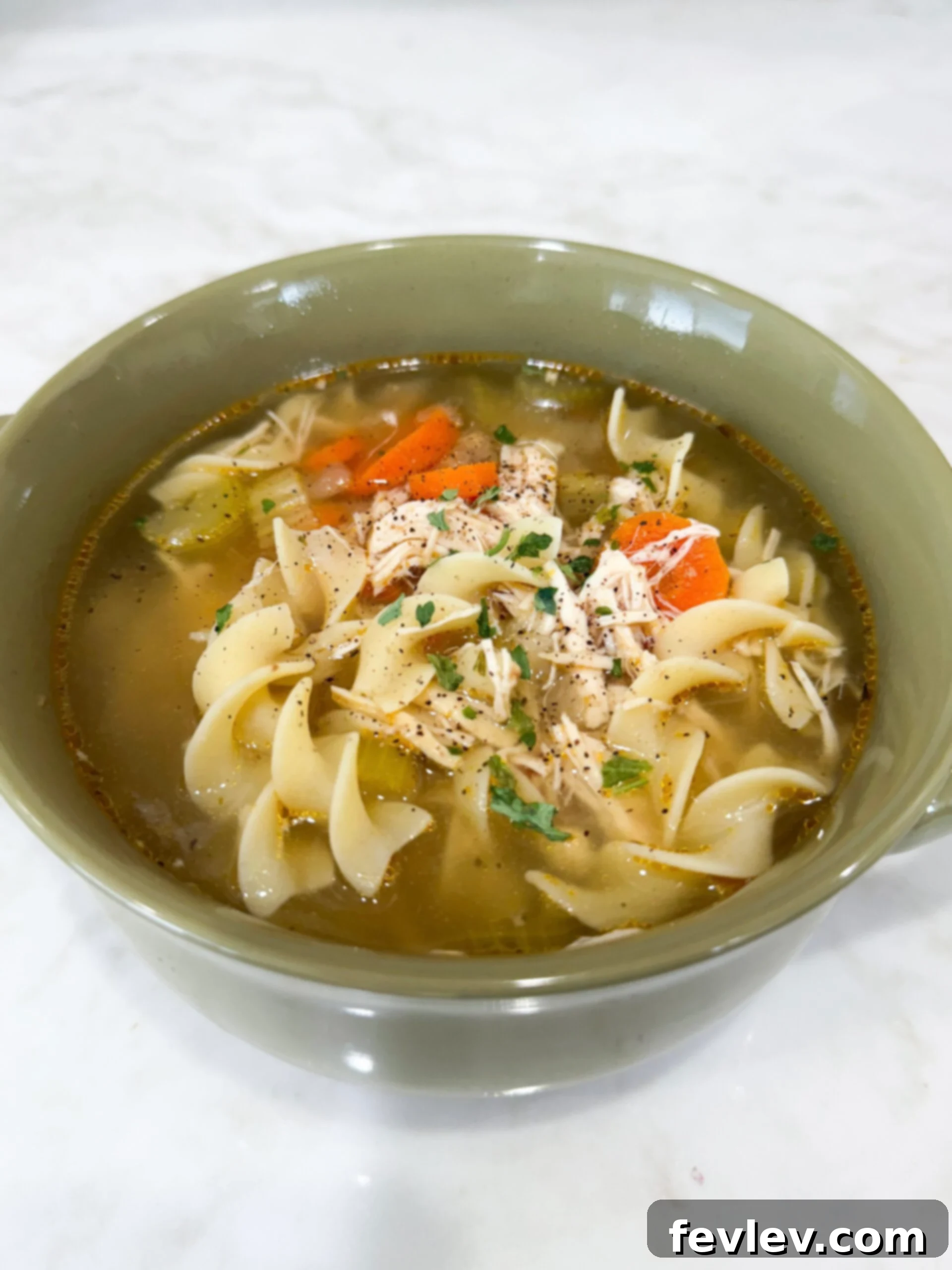 A warm bowl of Slow Cooker Chicken Noodle Soup, featuring tender chicken, golden egg noodles, vibrant carrots, fresh celery, and a sprinkle of green parsley. Perfect for a cozy meal.