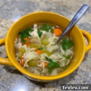 Hearty Slow Cooker Chicken Noodle Soup in a round bowl.