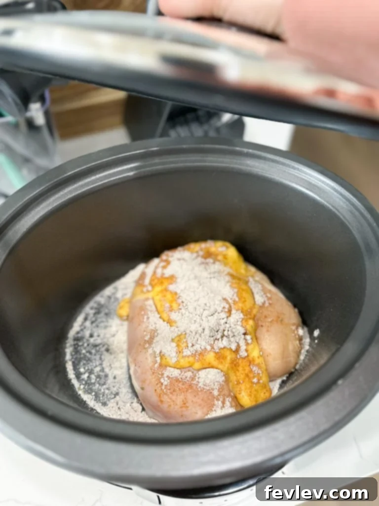 Close-up of essential ingredients for slow cooker chicken and gravy: chicken breasts, canned soup, gravy mix, ranch seasoning, and water