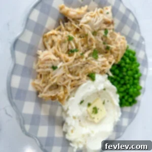 Slow Cooker Chicken and Gravy dish ready to be served