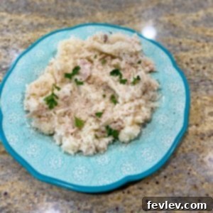 Delicious and creamy slow cooker pork chops and rice, ready to be served.