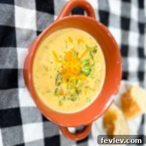 Delicious One-Pot Broccoli Cheese Soup with tender broccoli and melted cheese