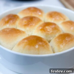 Easy homemade one-hour dinner rolls, warm and ready to serve.