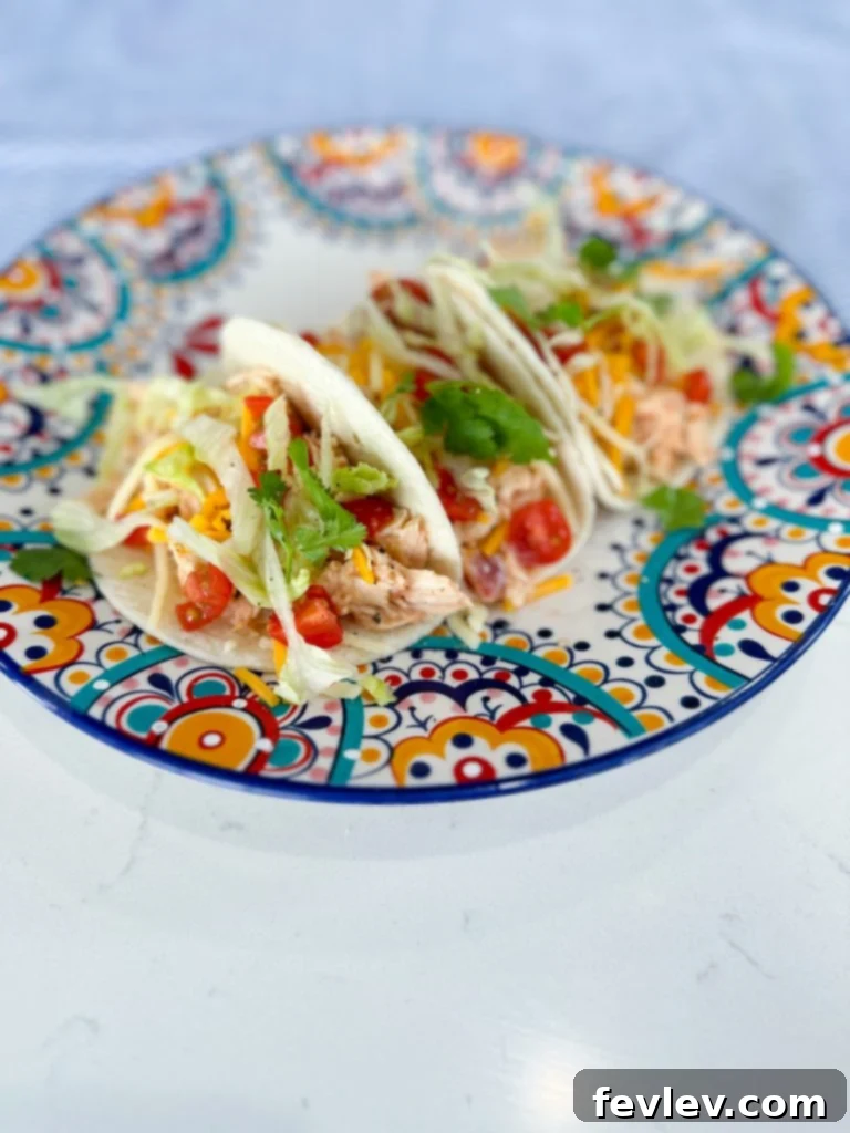 Velvety Chicken Tacos 3 creamy chicken tacos served on a plate