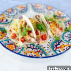 creamy chicken tacos