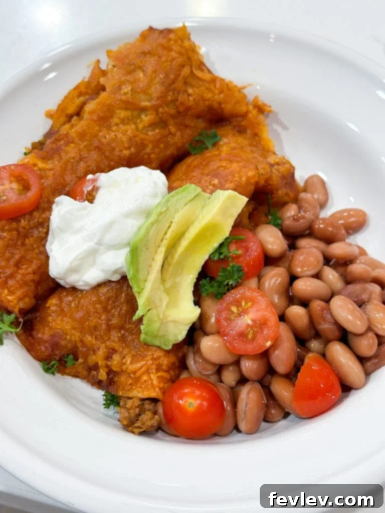 Classic Ground Beef Enchiladas 6 Easy ground beef enchiladas topped with fresh cilantro and red onion