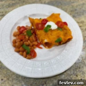 Cheesy Ground Beef Enchiladas