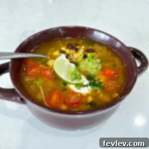 Effortless Spanish Rice Soup