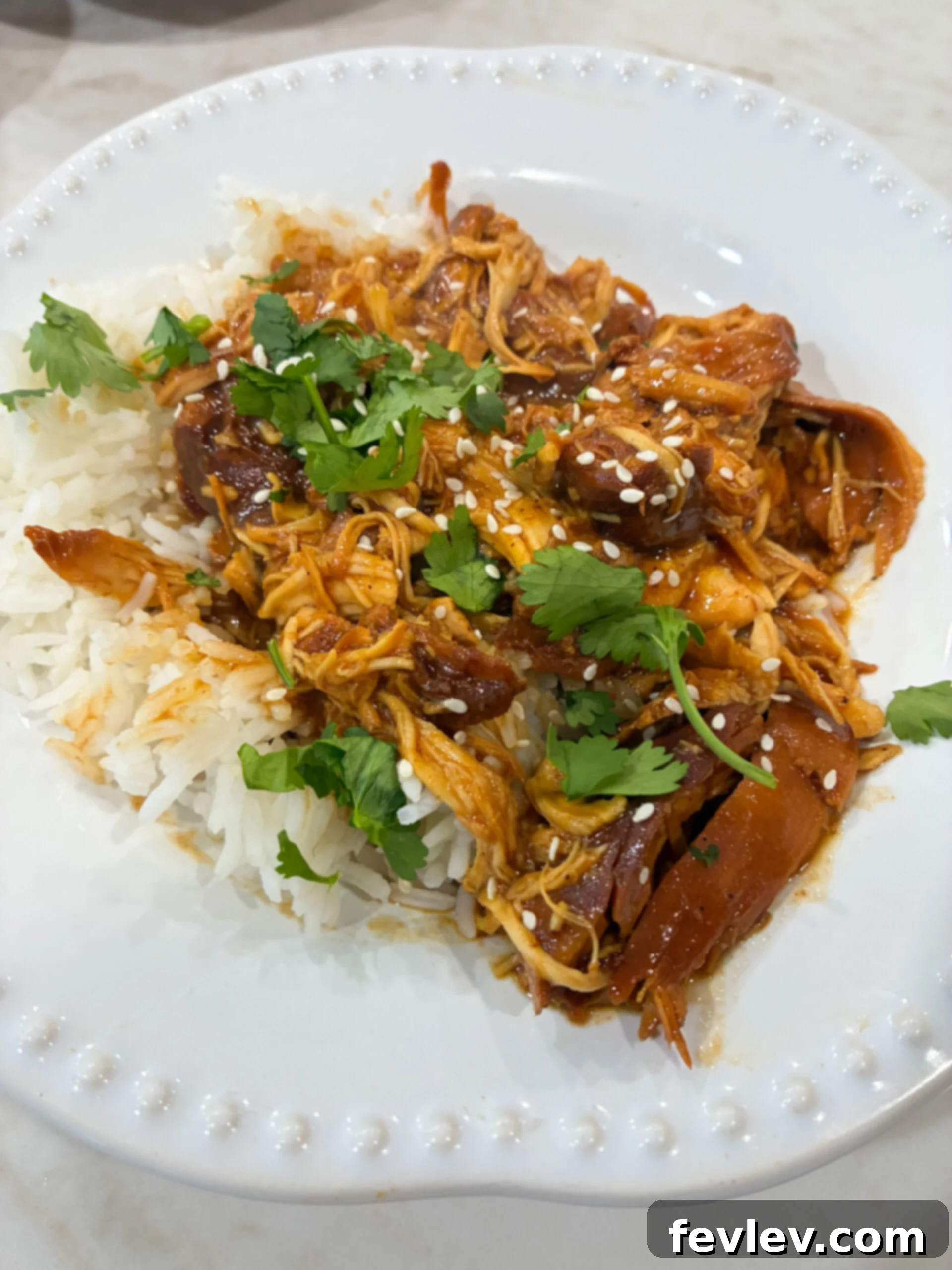 Cranberry chicken served over rice
